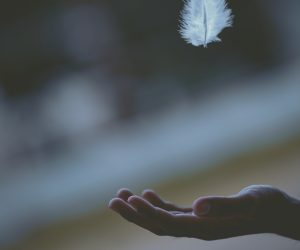 shallow focus photography of white feather dropping in person's hand